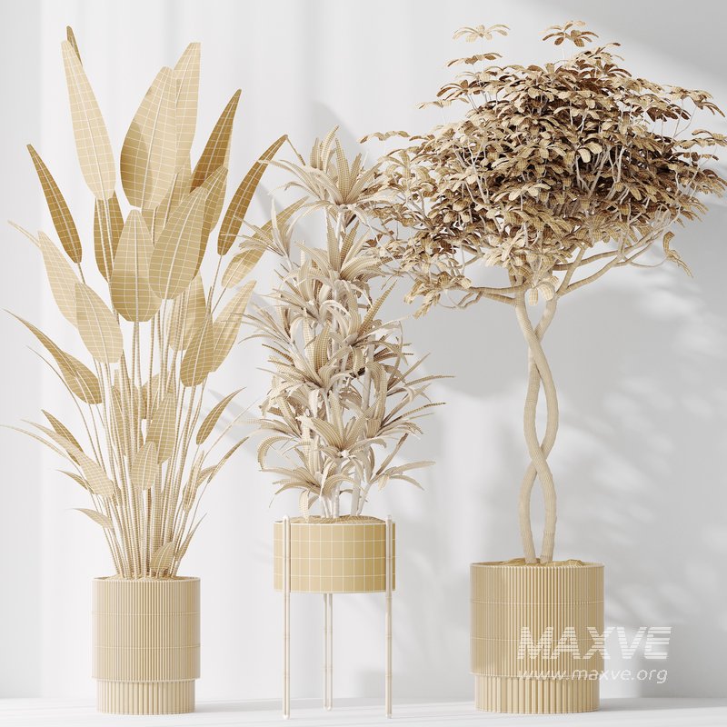 Indoor plants set 58 - Image 6