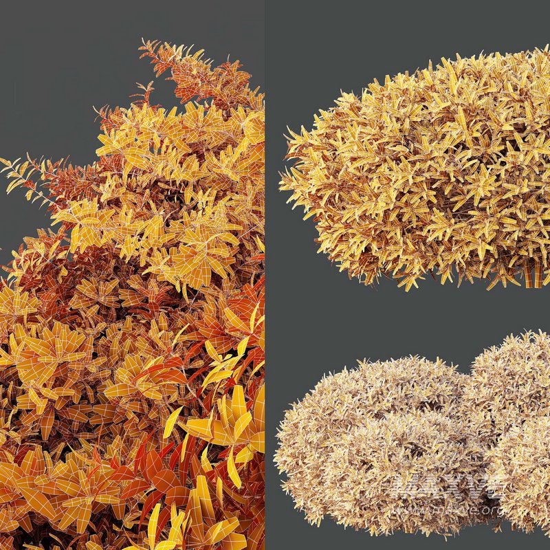 spring bush - Image 7