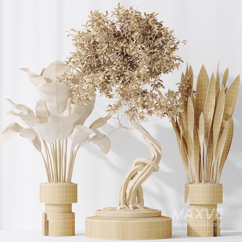 Indoor plant set 57 - Image 4