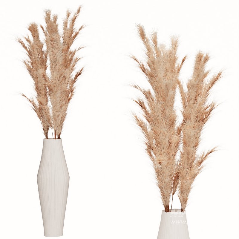 Pompas 001 - Image 1