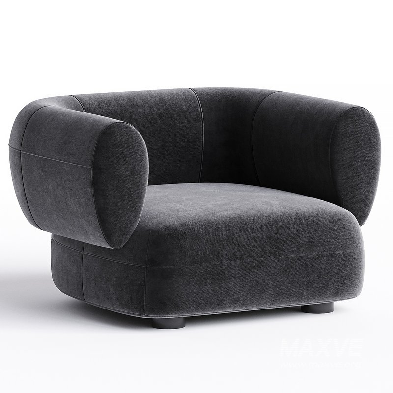 ARP Fauteuil By Linteloo - Image 1