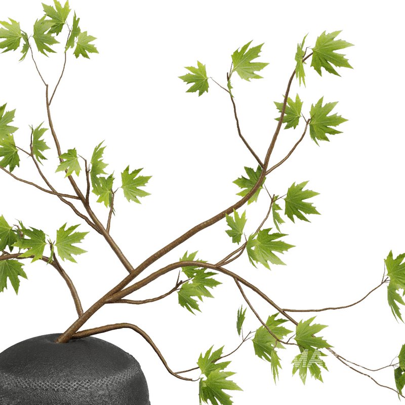 Green Leaf Branches Bouquet40 - Image 3