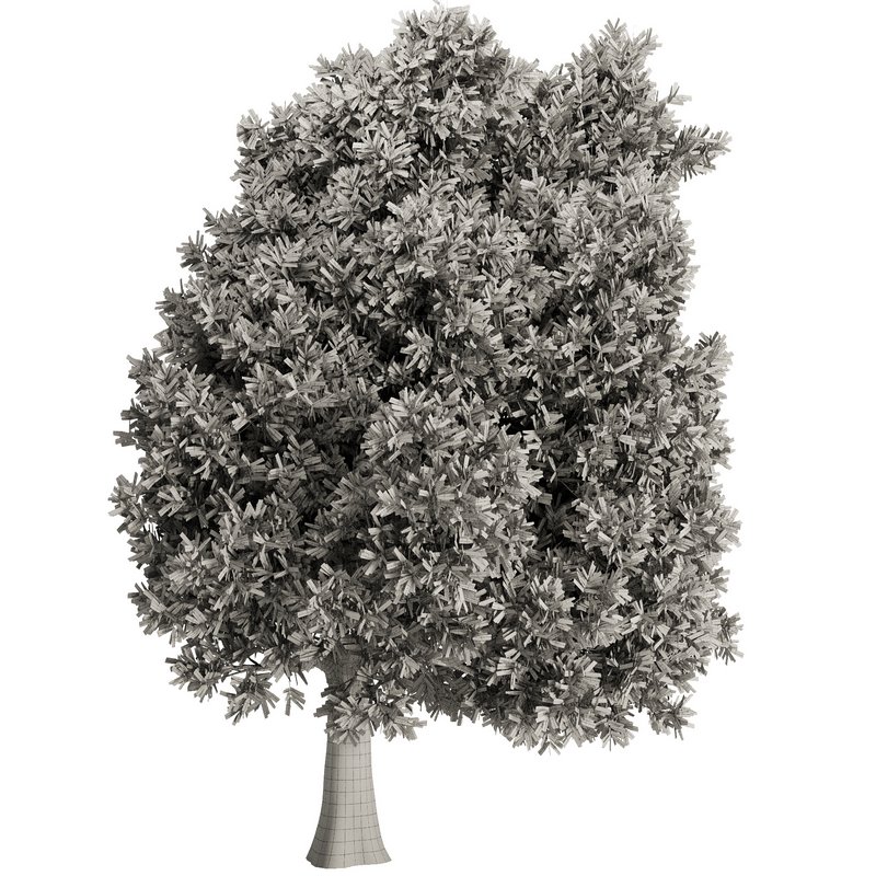 Olive Tree Set15 - Image 2