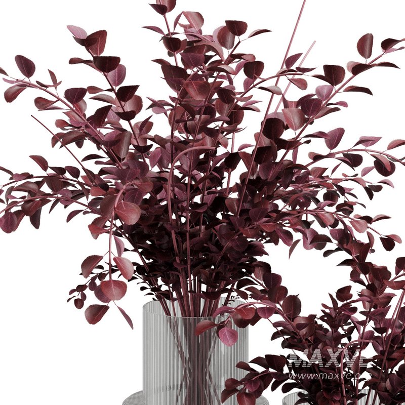 Red Eucalyptus Flower Bouquet37 - Image 4