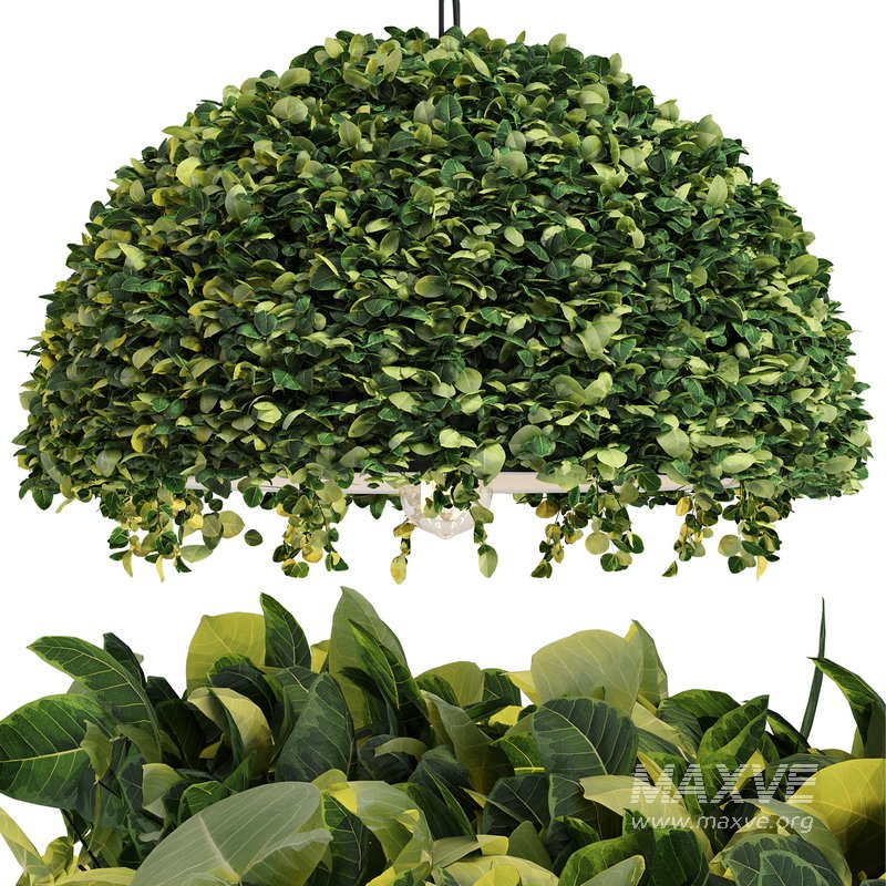 Modern Planter Led Pendant by Spingar - Image 2