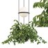 Vibia Plante Chandelier By PALMA - Thumbnail 2