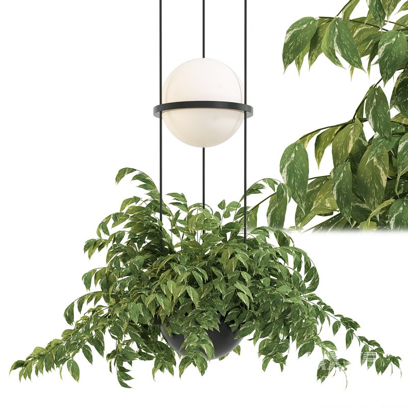 Vibia Plante Chandelier By PALMA - Image 2