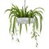 Indrid Decorative Plants White Light By Lightmakers - Thumbnail 3