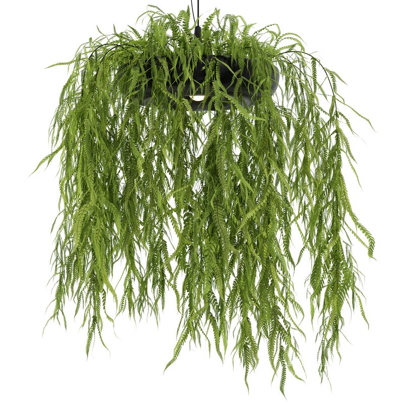 Indrid Decorative Plants Black Light By Lightmakers - Image 2