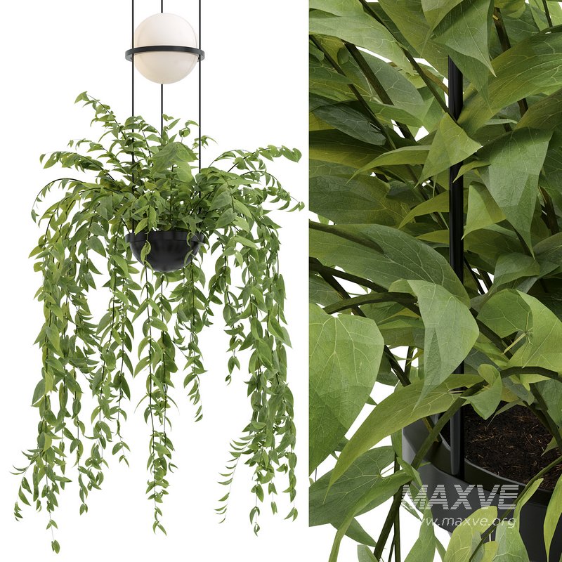 Vibia Plante Chandelier By PALMA - Image 3