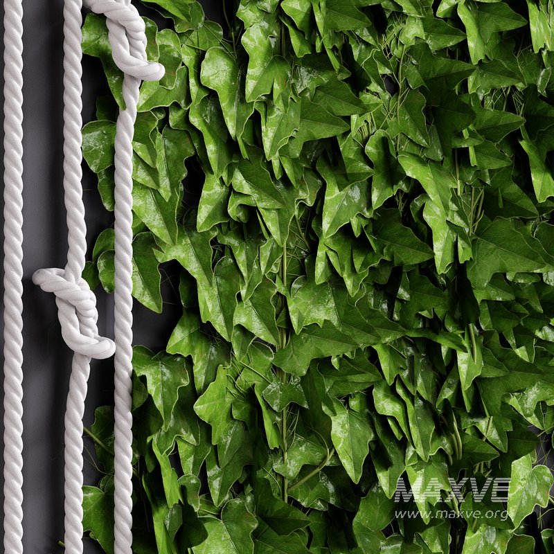 Well Dekor Set 1 - Image 2