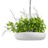 Indrid Decorative Plants White Light By Lightmakers - Thumbnail 2