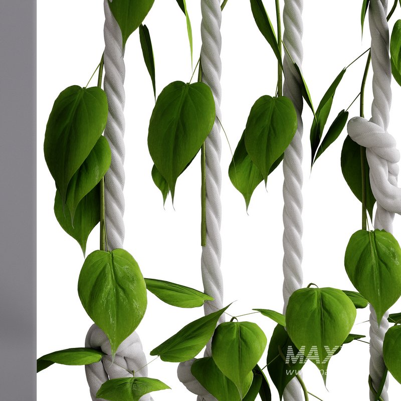 Well Dekor Set 2 - Image 2