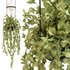 Vibia Plante Chandelier By PALMA - Thumbnail 4