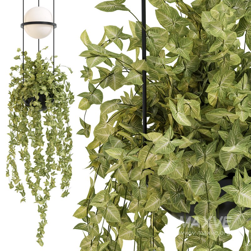 Vibia Plante Chandelier By PALMA - Image 4