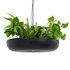 Indrid Decorative Plants Black Light By Lightmakers - Thumbnail 3