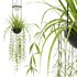Vibia Plante Chandelier By PALMA - Thumbnail 5