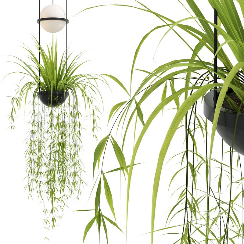 Vibia Plante Chandelier By PALMA - Image 5