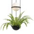 Vibia Plante Chandelier By PALMA - Thumbnail 6
