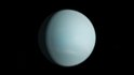 Uranus 3d model - Thumbnail 1