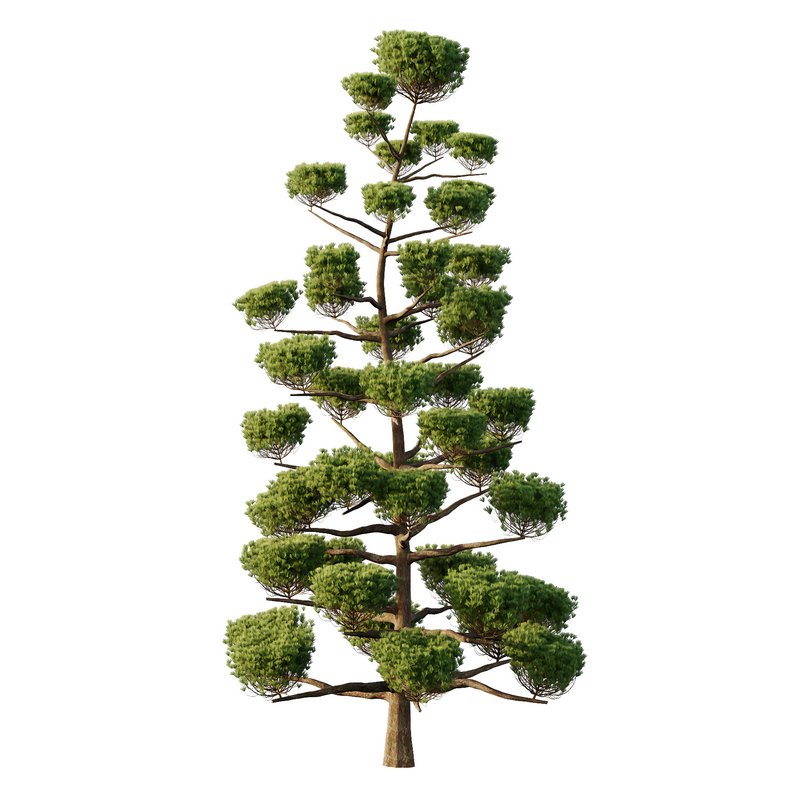 sphere Tree10 - Image 1