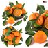 bowl of oranges - Thumbnail 1