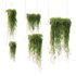 HQ HousePlants Hanged On Plants Set01 - Thumbnail 1
