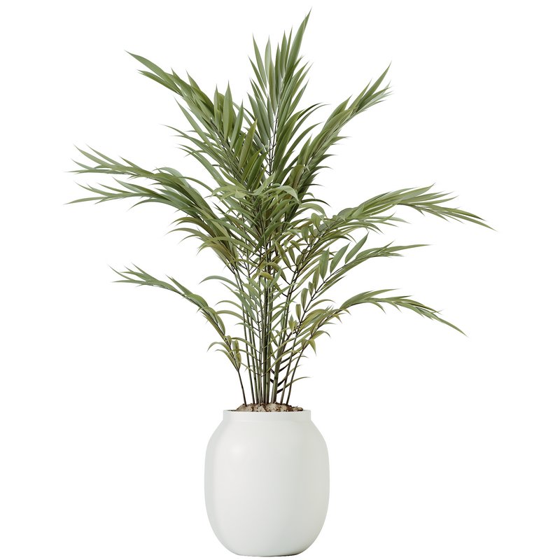 HQ HousePlants Pelagio Artificial Mountain Kentia Palm02 - Image 1