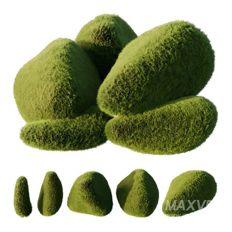 topiary Plant01 - Image 1