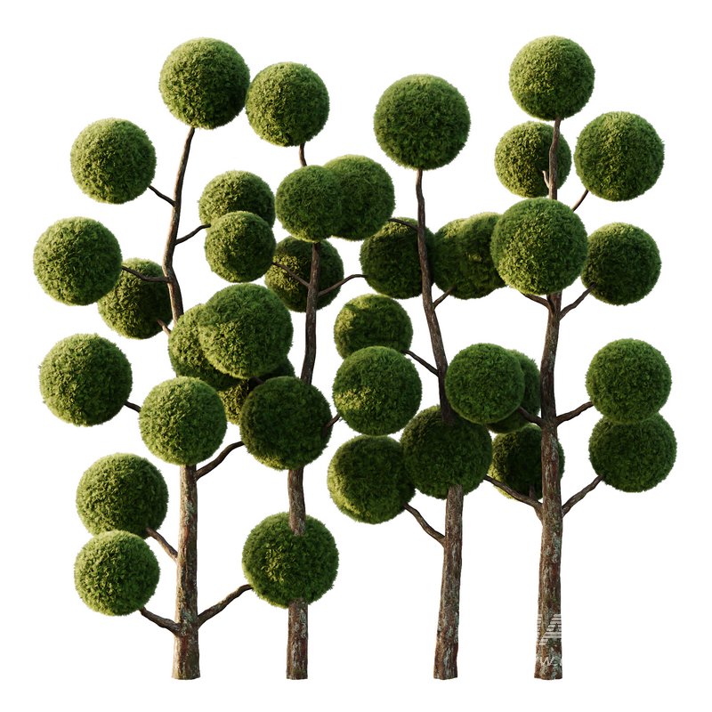 sphere Tree09 - Image 1