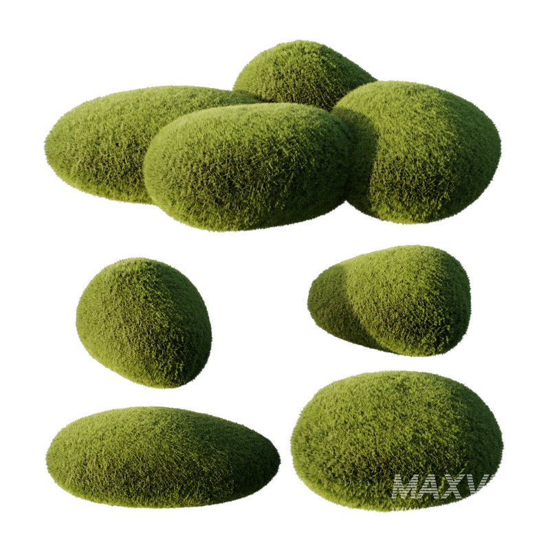 topiary plant - Image 1