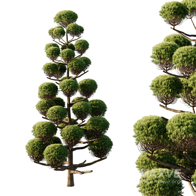 sphere Tree11 - Image 1