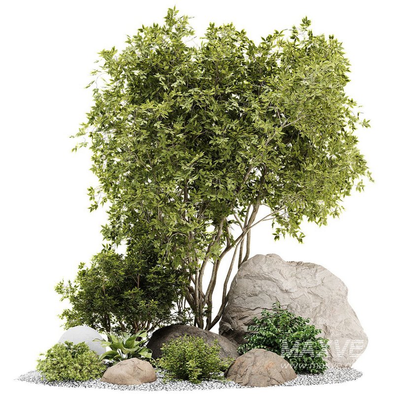 outdoor_plant_set01 - Image 1