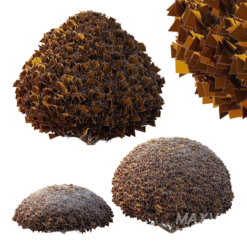 Pinus Mugo Bush03 - Image 3