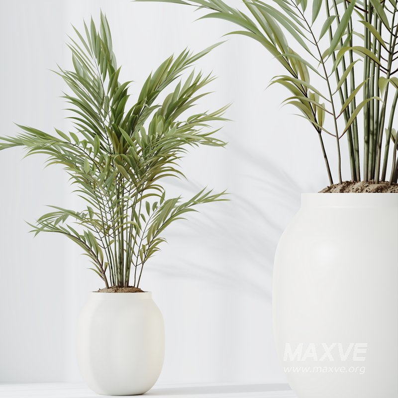 HQ HousePlants Pelagio Artificial Mountain Kentia Palm02 - Image 3