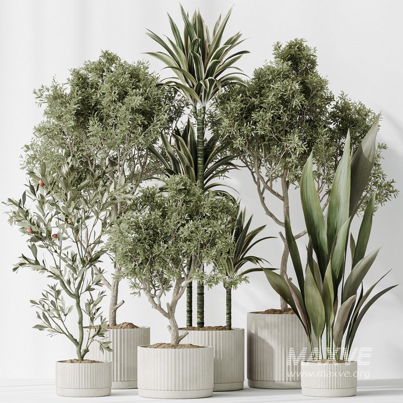 ndoor plant set 63 - Image 4