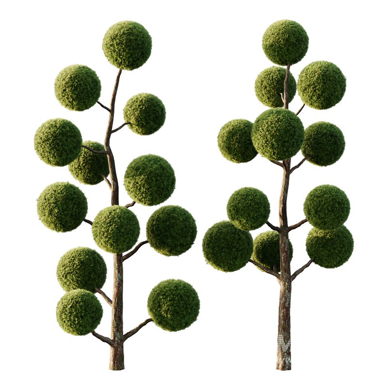 sphere Tree09 - Image 4