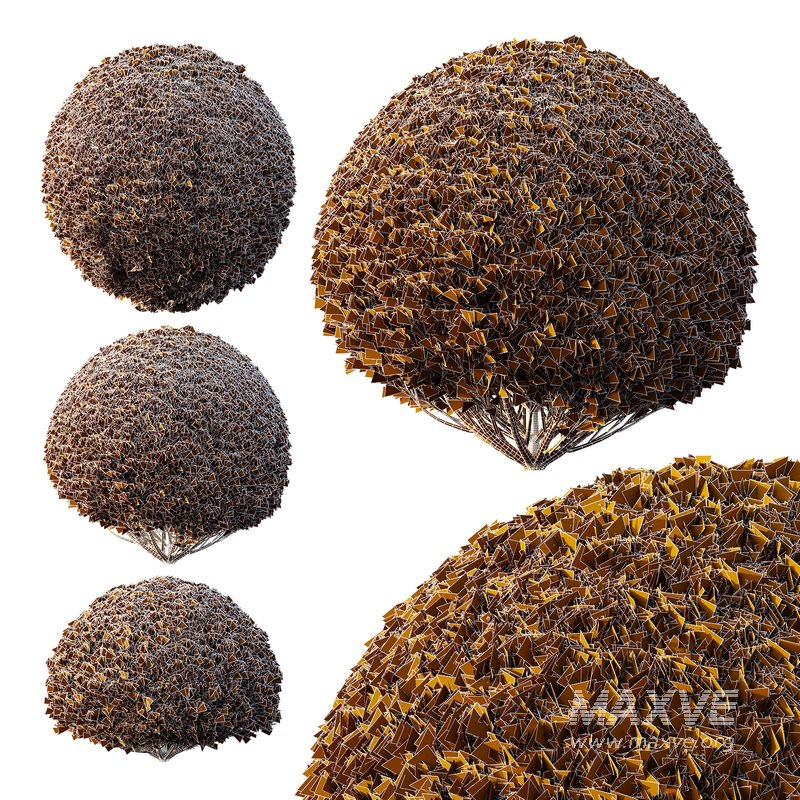 Pinus Mugo Bush06 - Image 3