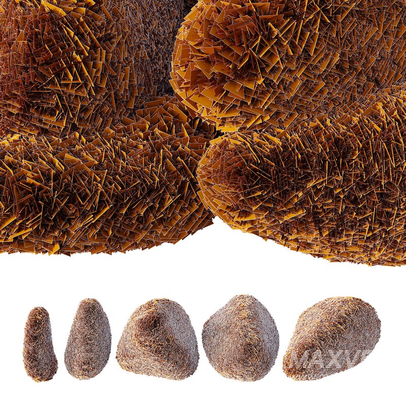 topiary Plant01 - Image 2