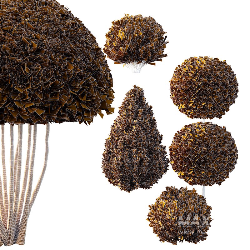 Pinus Mugo Bush08 - Image 2