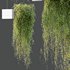 HQ HousePlants Hanged On Plants Set01 - Thumbnail 6
