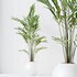 HQ HousePlants Pelagio Artificial Mountain Kentia Palm - Thumbnail 3