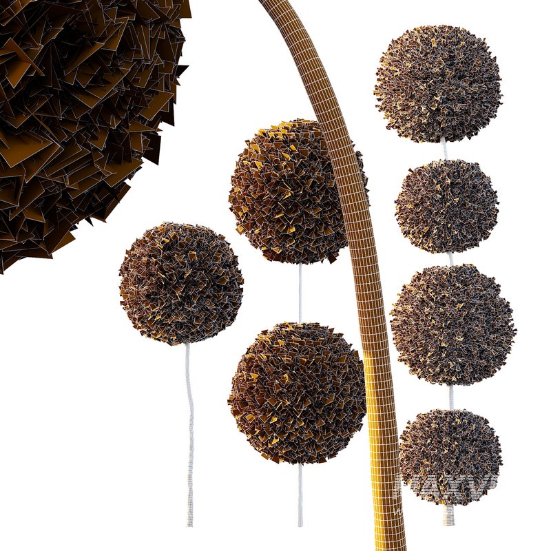 Pinus Mugo Bush09 - Image 2