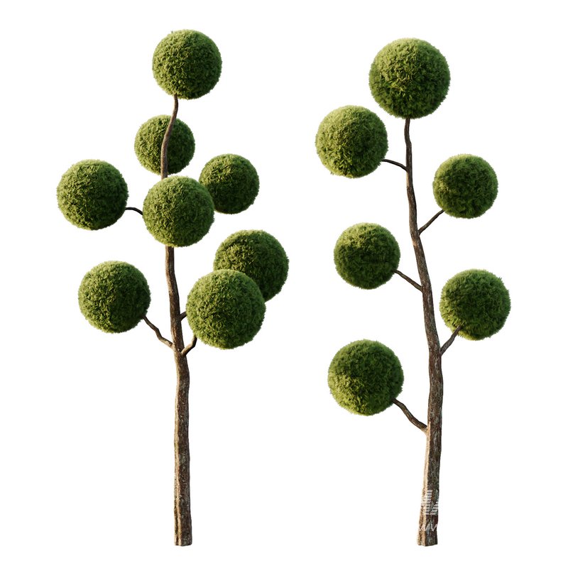 sphere Tree09 - Image 2