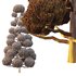 sphere Tree13 - Thumbnail 2