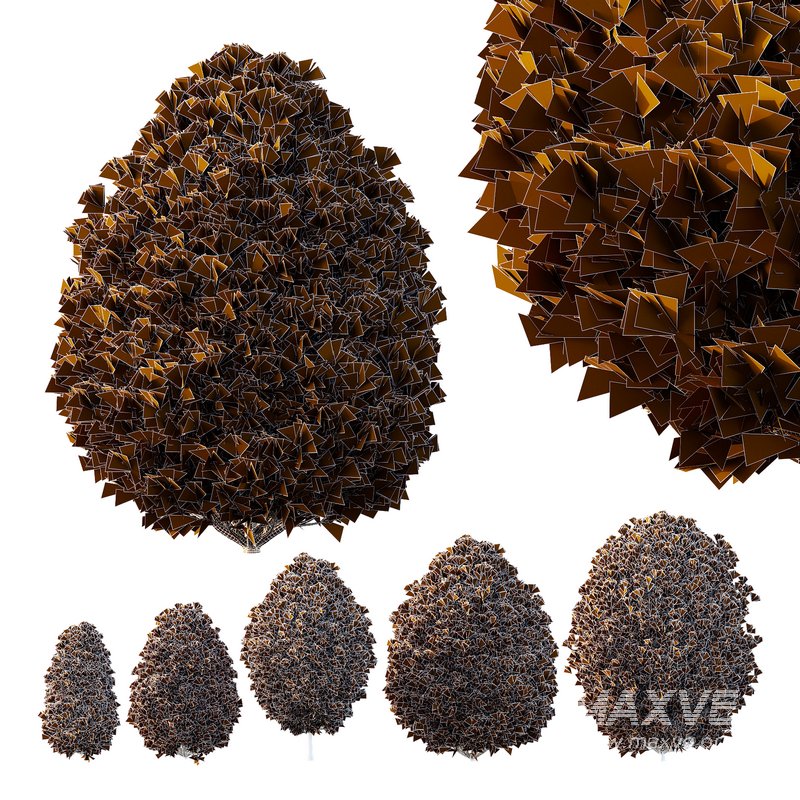 Pinus Mugo Bush02 - Image 3