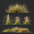 Carex Testacea Orange and Molinia Caerulea Fire Grasses - Thumbnail 3