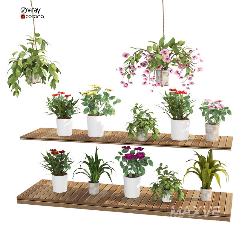 greenhouse - Image 5