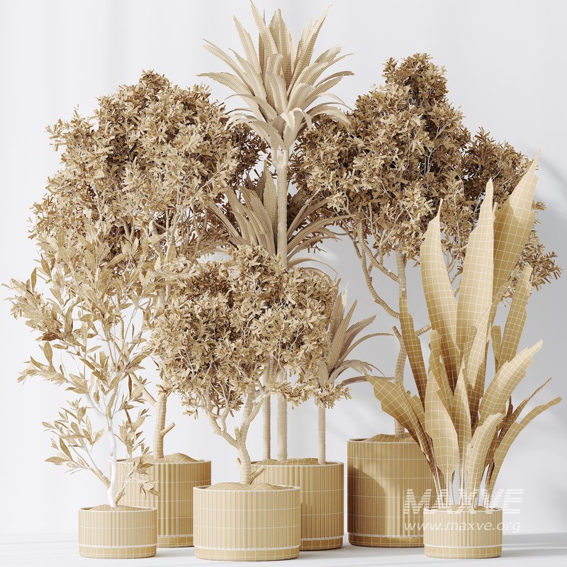 ndoor plant set 63 - Image 3