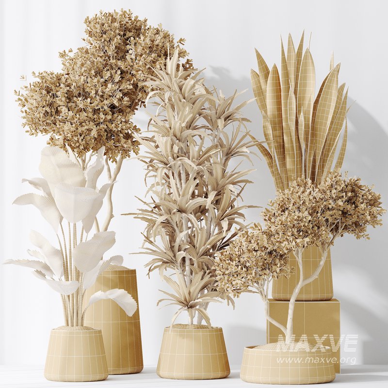 Indoor plants set 84 Olive Tree and ParadiseBird - Image 2